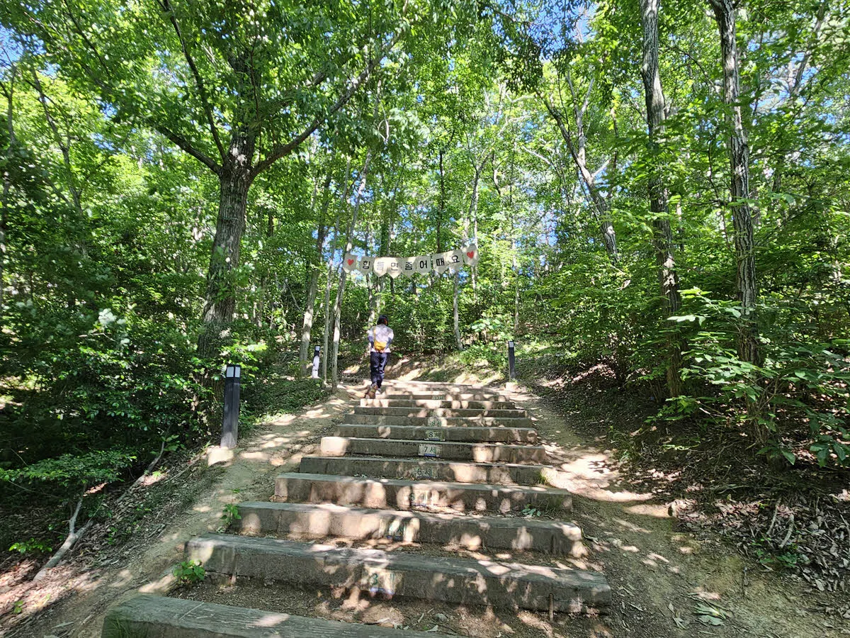 목포 해상케이블카 고하도 승강장에서 고하도 전망대 가는 길