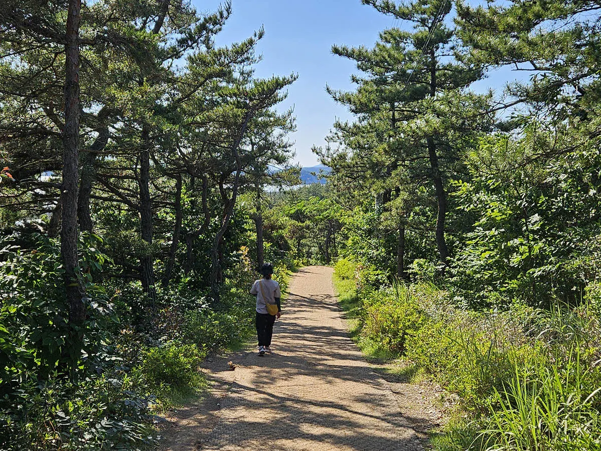 능선을 따라 고하도 전망대 가는 길