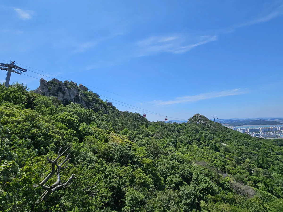 전망대에서 바라본 유달산 정상과 목포 해상케이블카