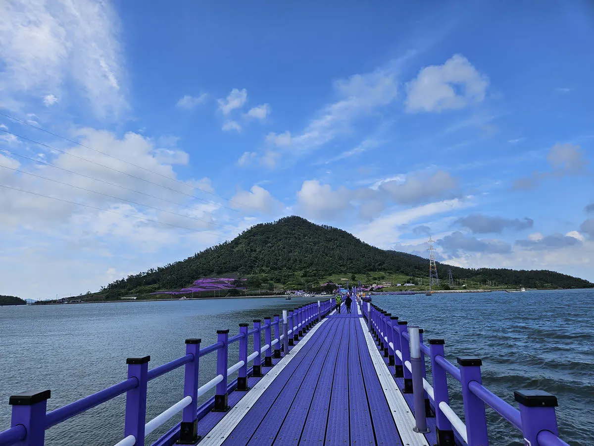 안좌도에서 반월도로 들어가는 첫 번째 퍼플교