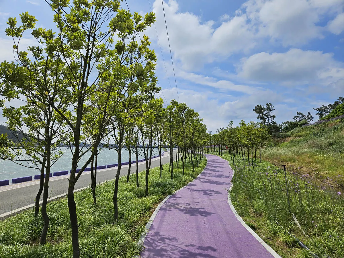 보라색 포장도로