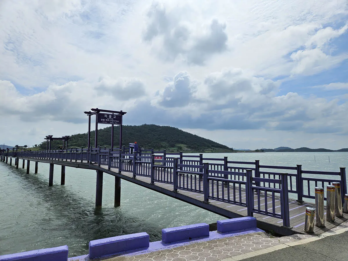 박지도로 넘어가는 퍼플교