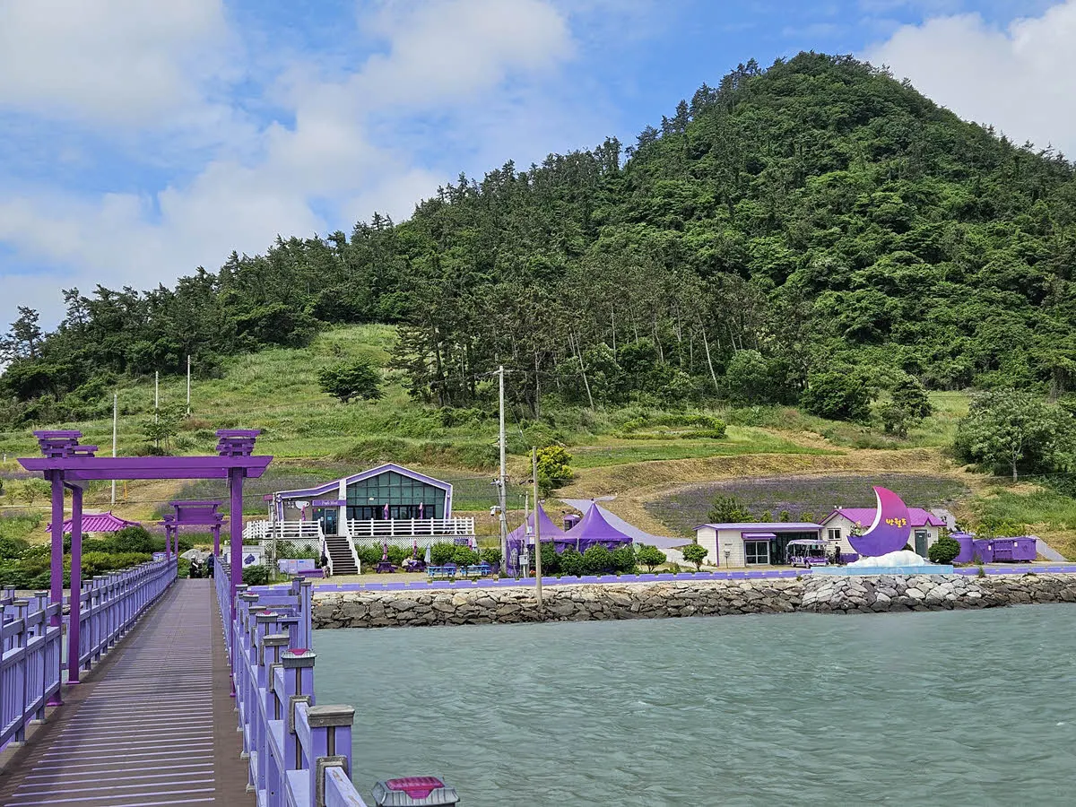 박지도로 넘어가는 퍼플교에서 바라본 반월도