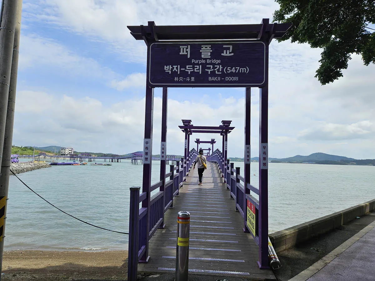 퍼플교 박지도 - 안좌도 두리 구간