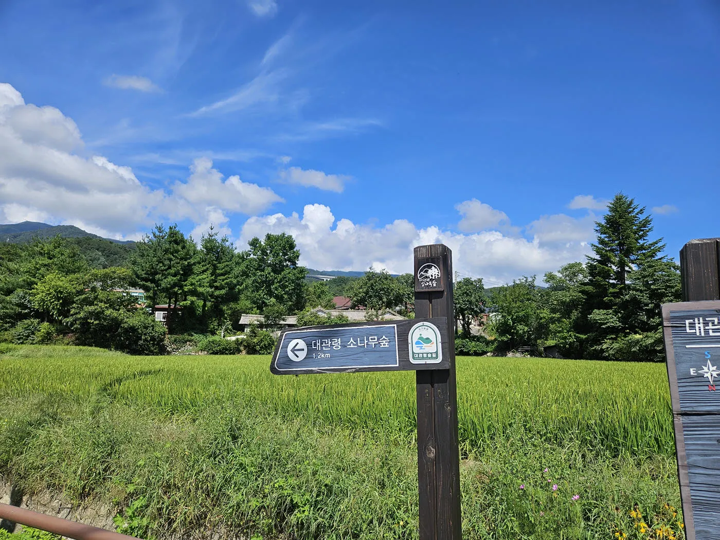 대관령소나무숲길 입구까지 1.2 km