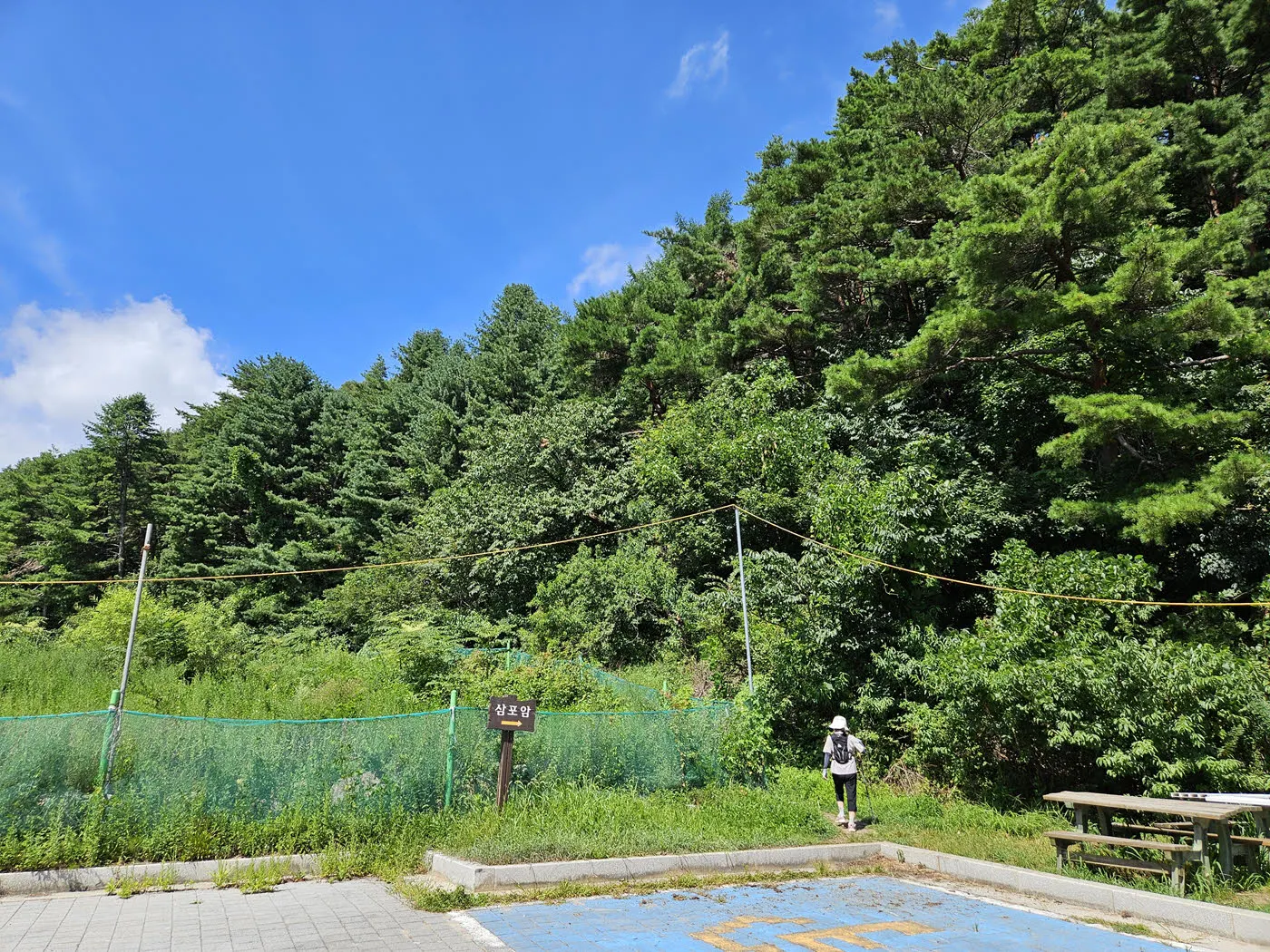 대관령소나무숲길 입구 주차장