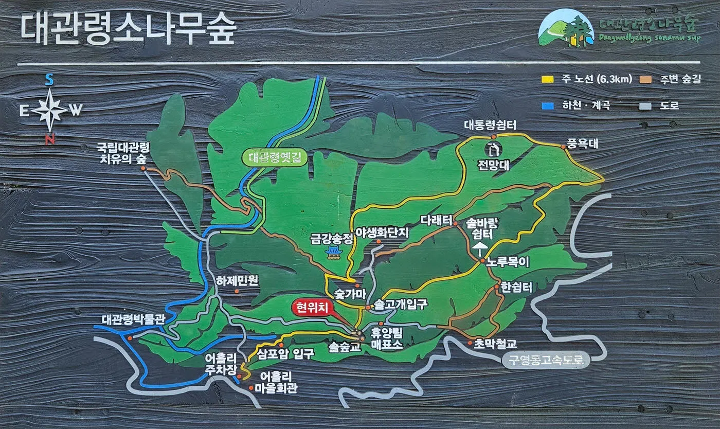 솔숲교에 있는 대관령소나무숲길 코스 안내도