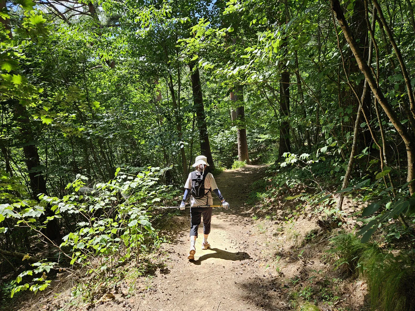 대관령소나무숲길-무더위에 가장 힘들었던 구간