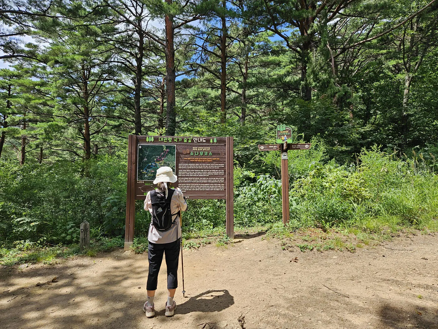 풍욕대 가는 길