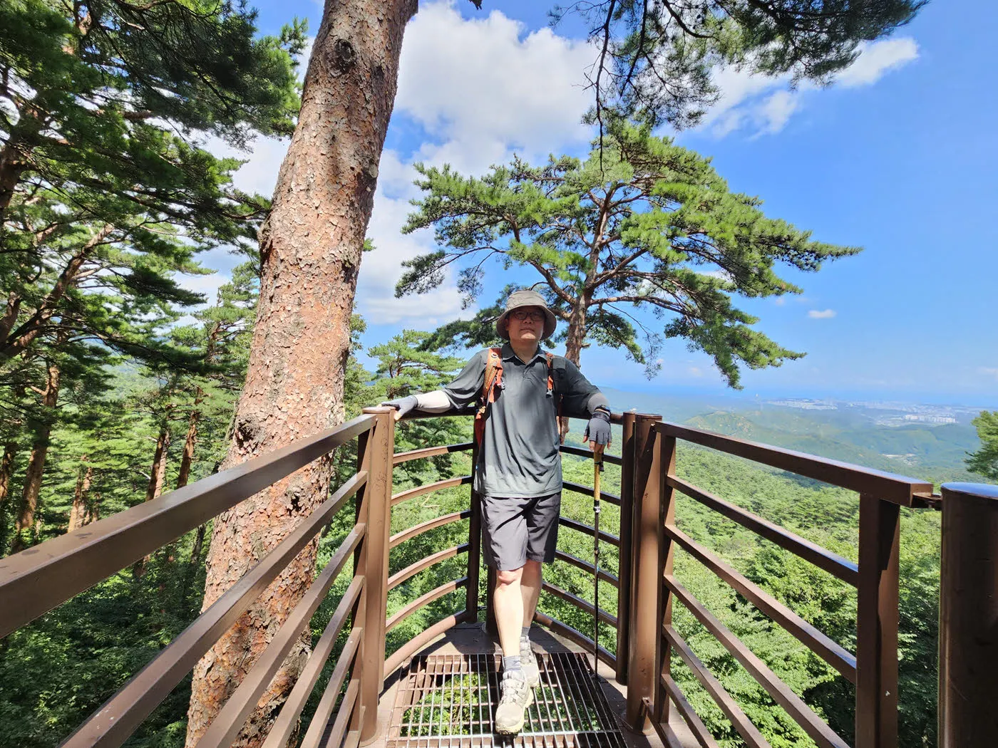 대관령소나무숲 - 전망대