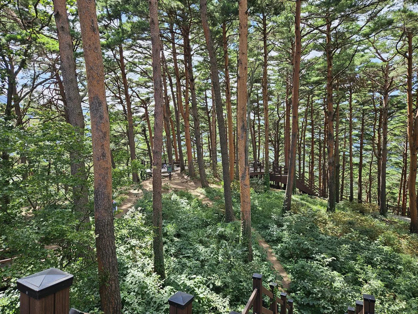 전망대 건너편 대통령 쉼터