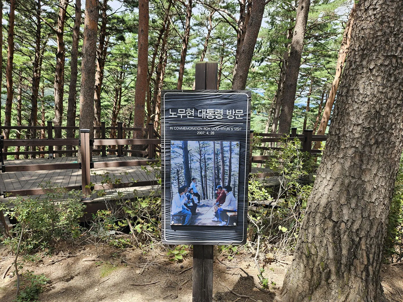 대관령소나무숲 - 대통령 쉼터 (노무현)