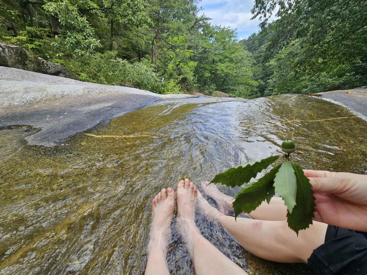 대관령소나무숲의 계곡
