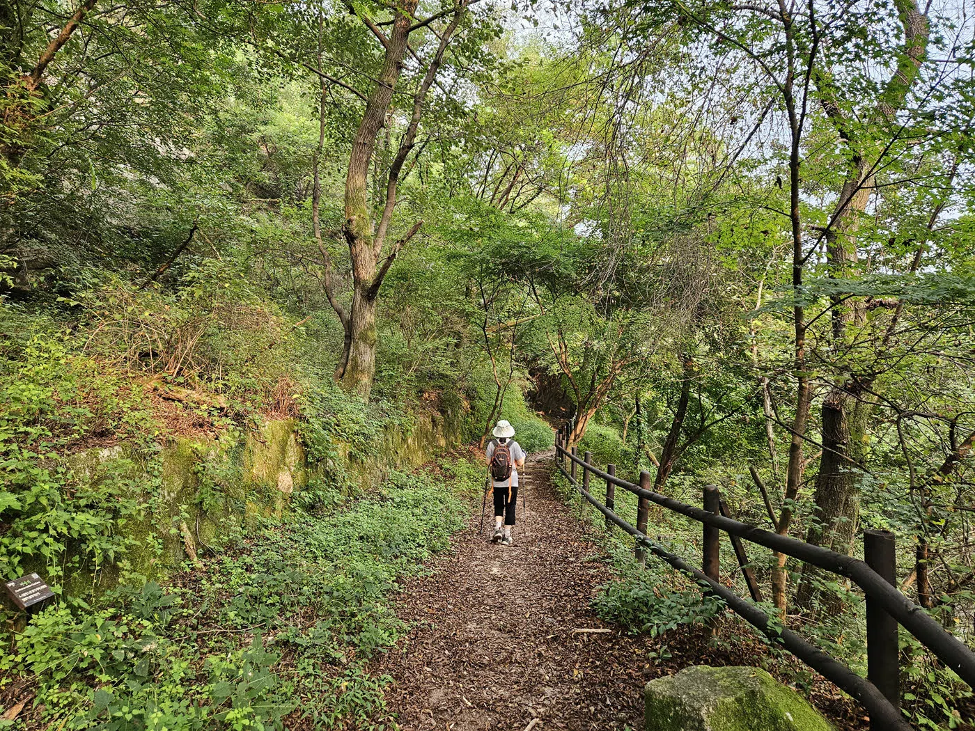 정릉탐방지원센터에서 형제봉 가는길
