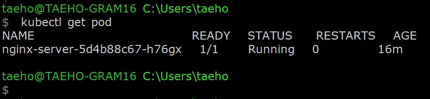 배포된 POD 조회