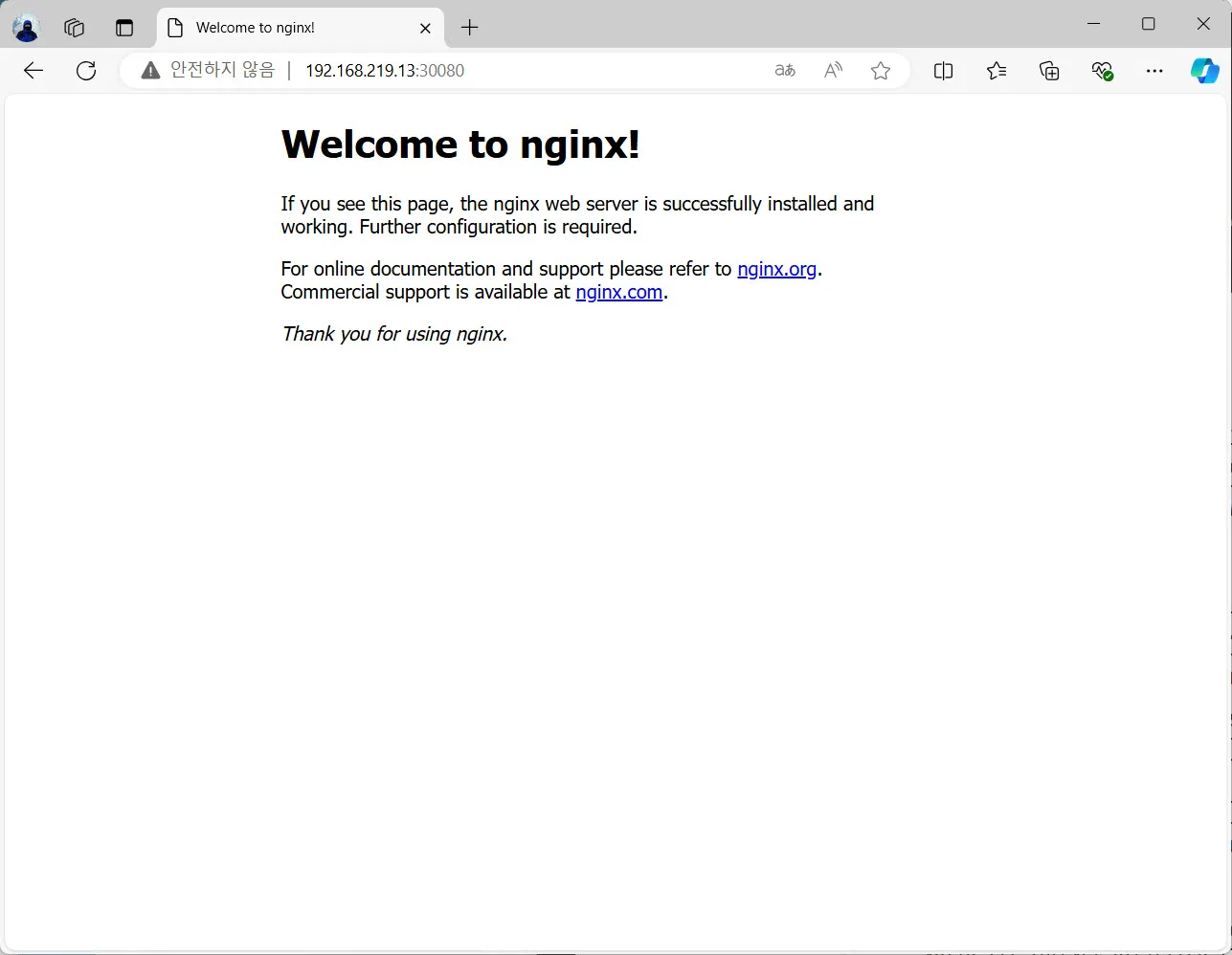 Nginx pod에 접속한 화면