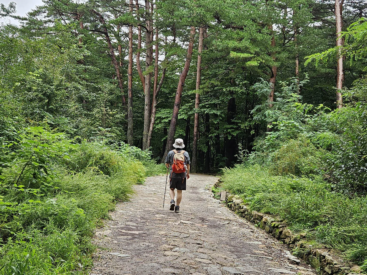 토왕성폭포 가는 길