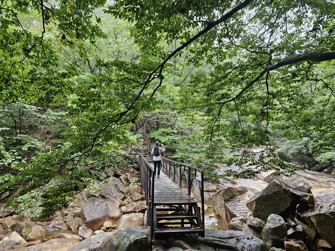 육담폭포 가는 길
