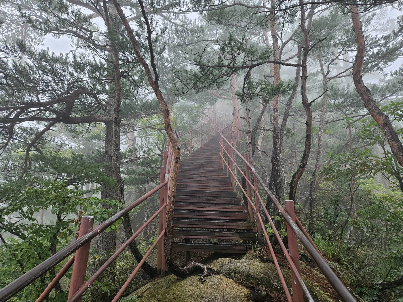 비룡폭포에서 토왕성폭포 전망대 가는 계단