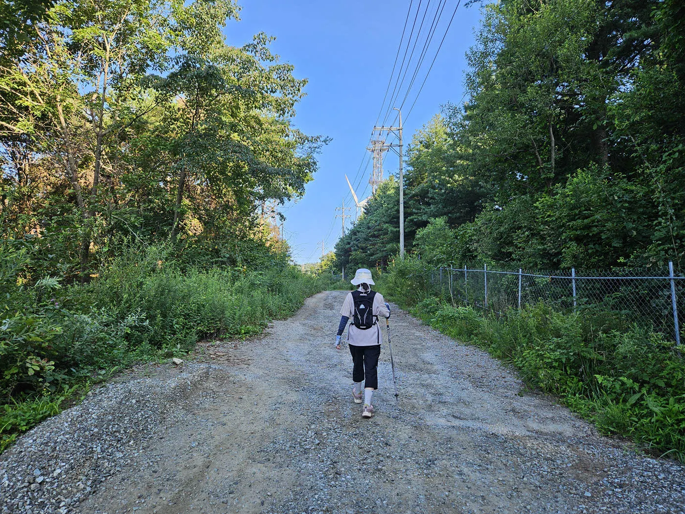 태기산 국가생태탐방로 걷기 시작