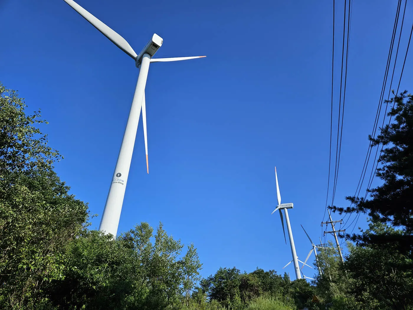 태기산 풍력발전단지의 1번 풍력발전기