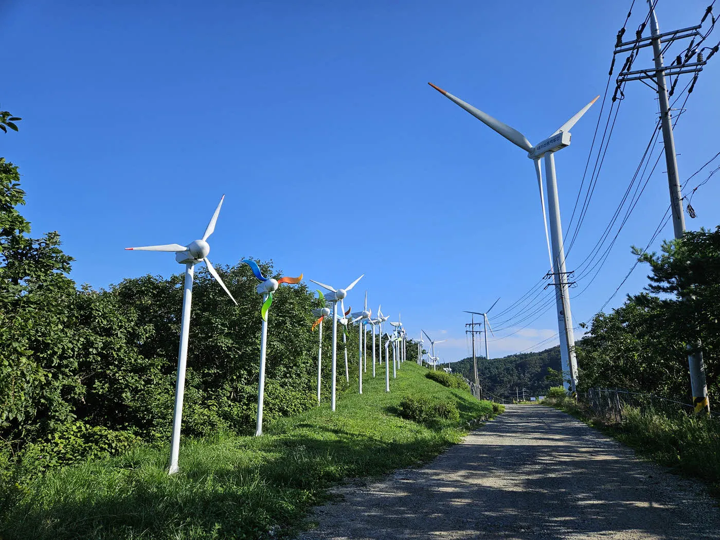 태기산 풍력발전단지의 풍력발전기 미니어처가 즐비한 미니공원 