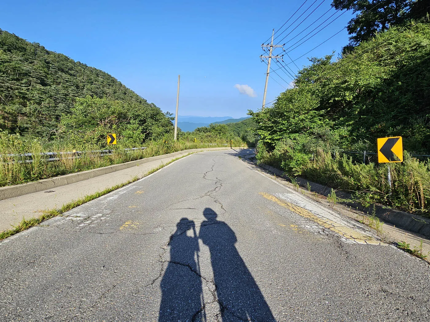 해를 본 김에 그림자 놀이하기