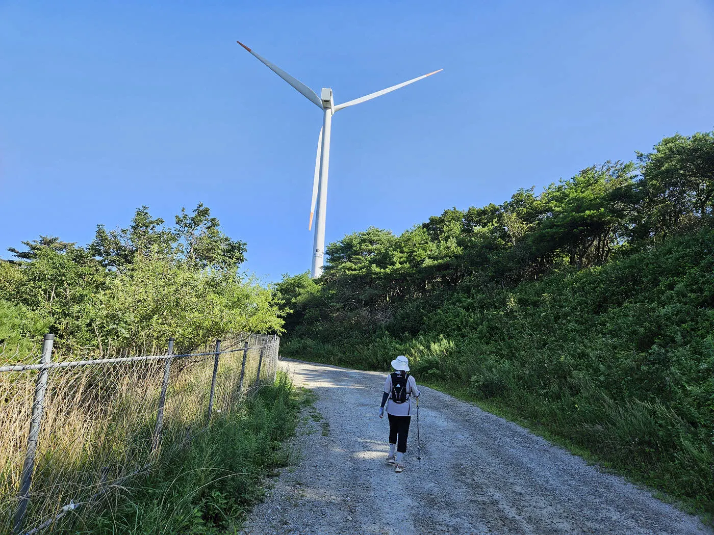 태기산 풍력발전단지의 11번 풍력발전기