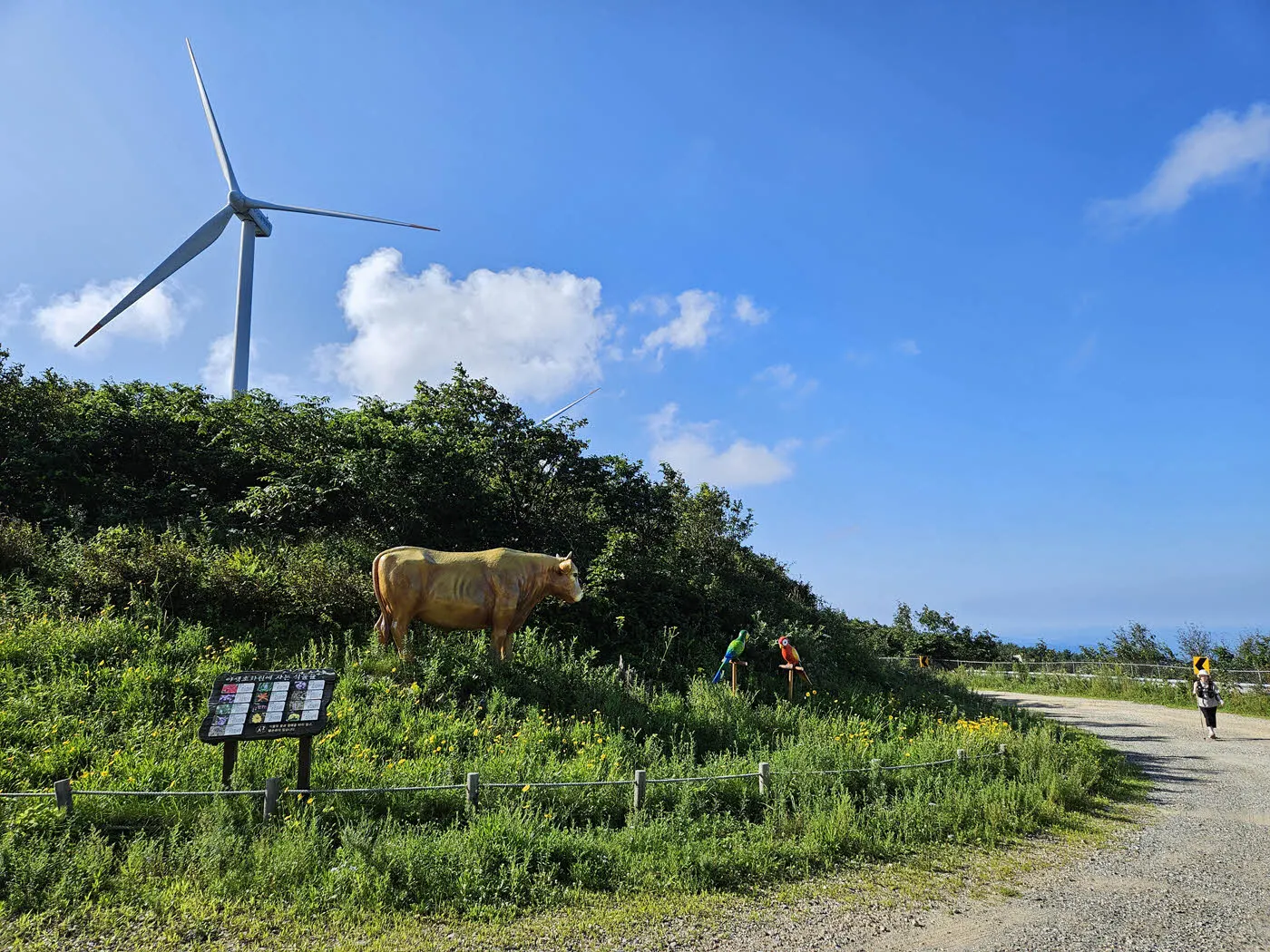 횡성 한우 동상