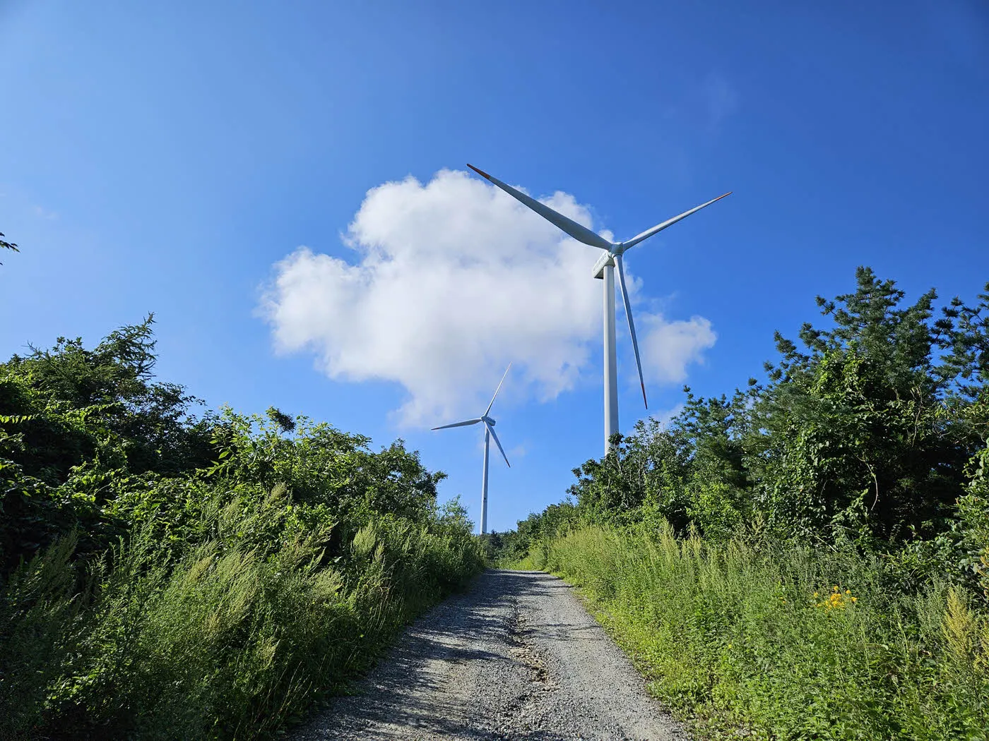 태기산 풍력발전단지의 멋진 풍경