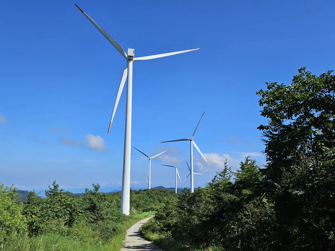 태기산국가생태탐방로의 풍력발전기 
