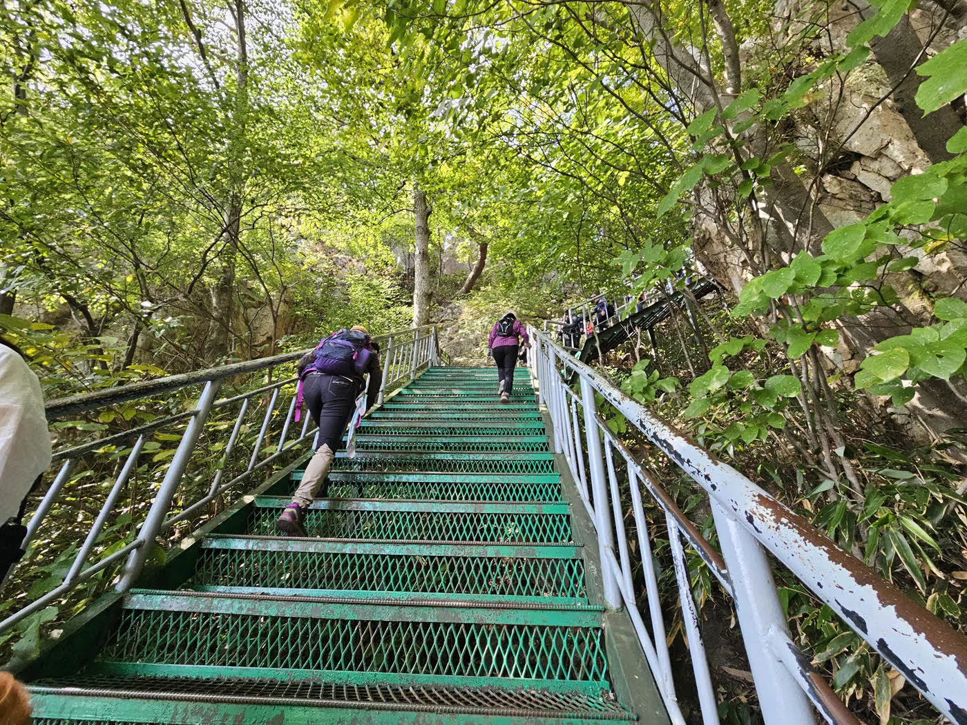 대둔산 금강구름다리 가는 길
