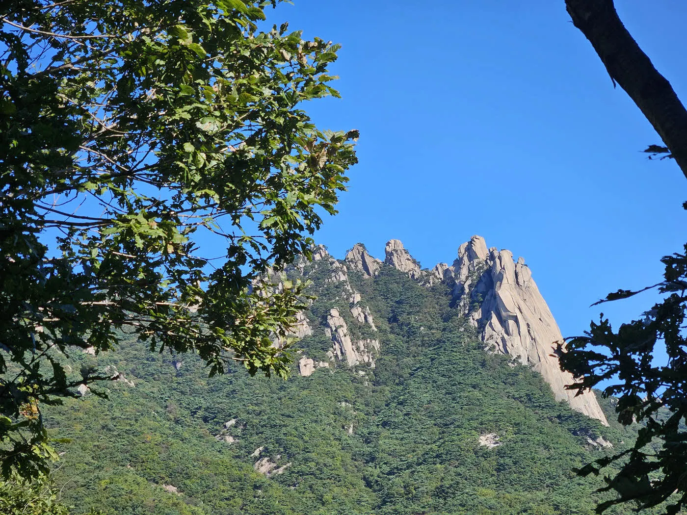 보문능선에서 손에 잡힐 듯 보이는 도봉산 자운봉과 신선대