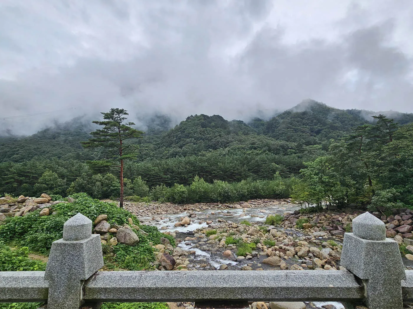금강교에서 바라본 와선대 계곡