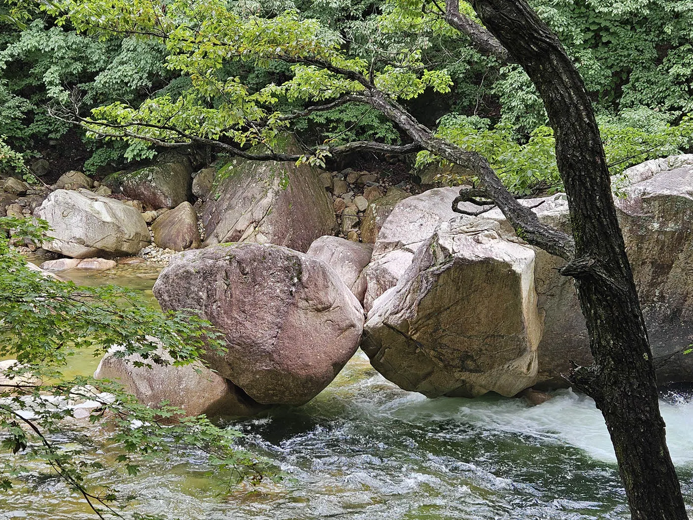 와선대의 키스락