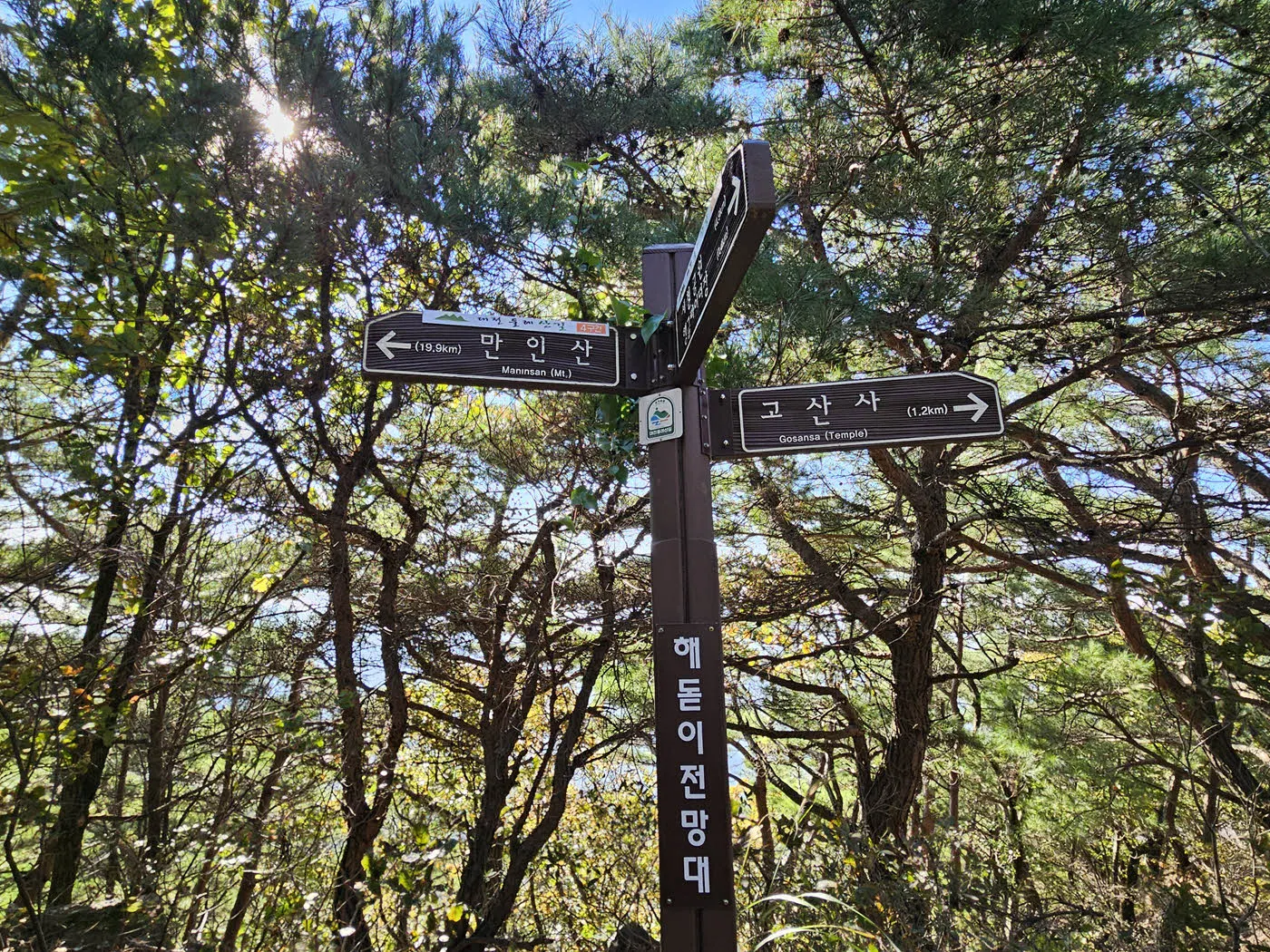 식장산 해돋이 전망대