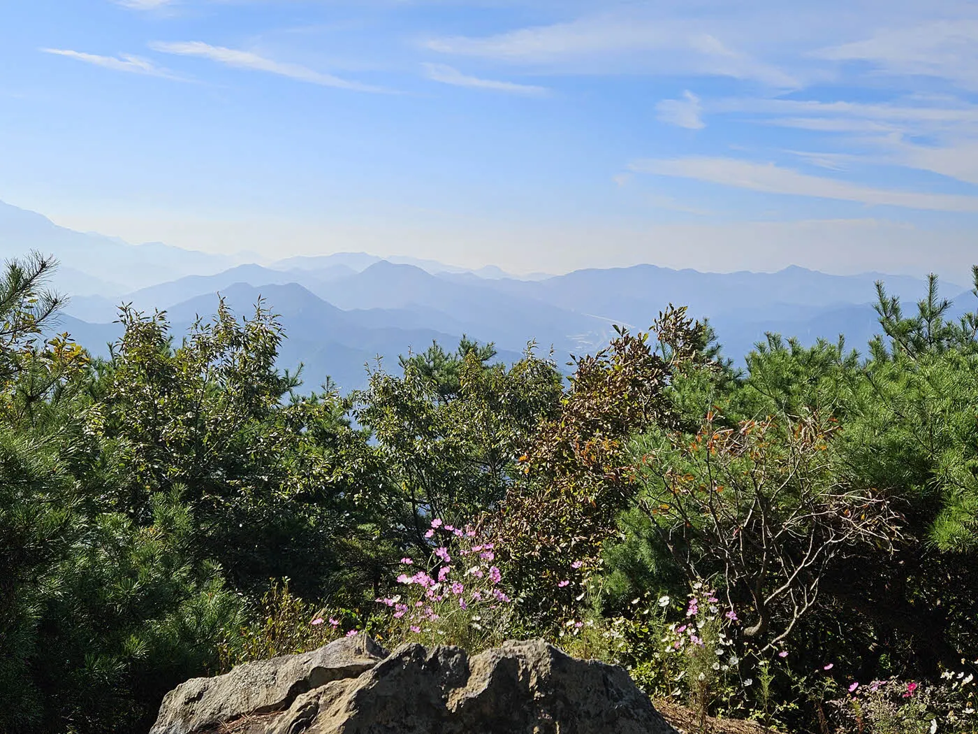 식장산 해돋이 전망대에서 바라본 옥천방면 풍경