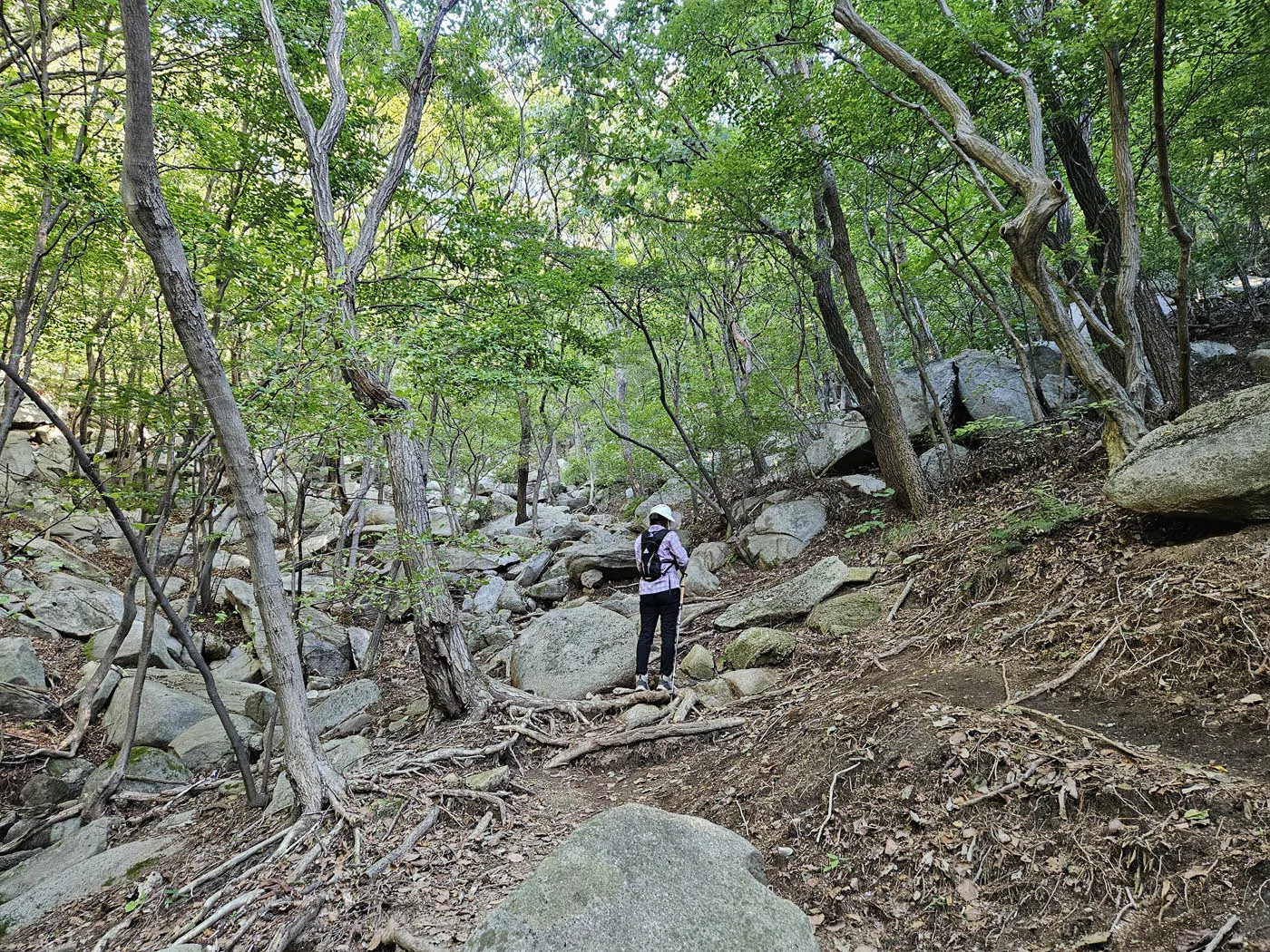 등산로인 듯 아닌 듯