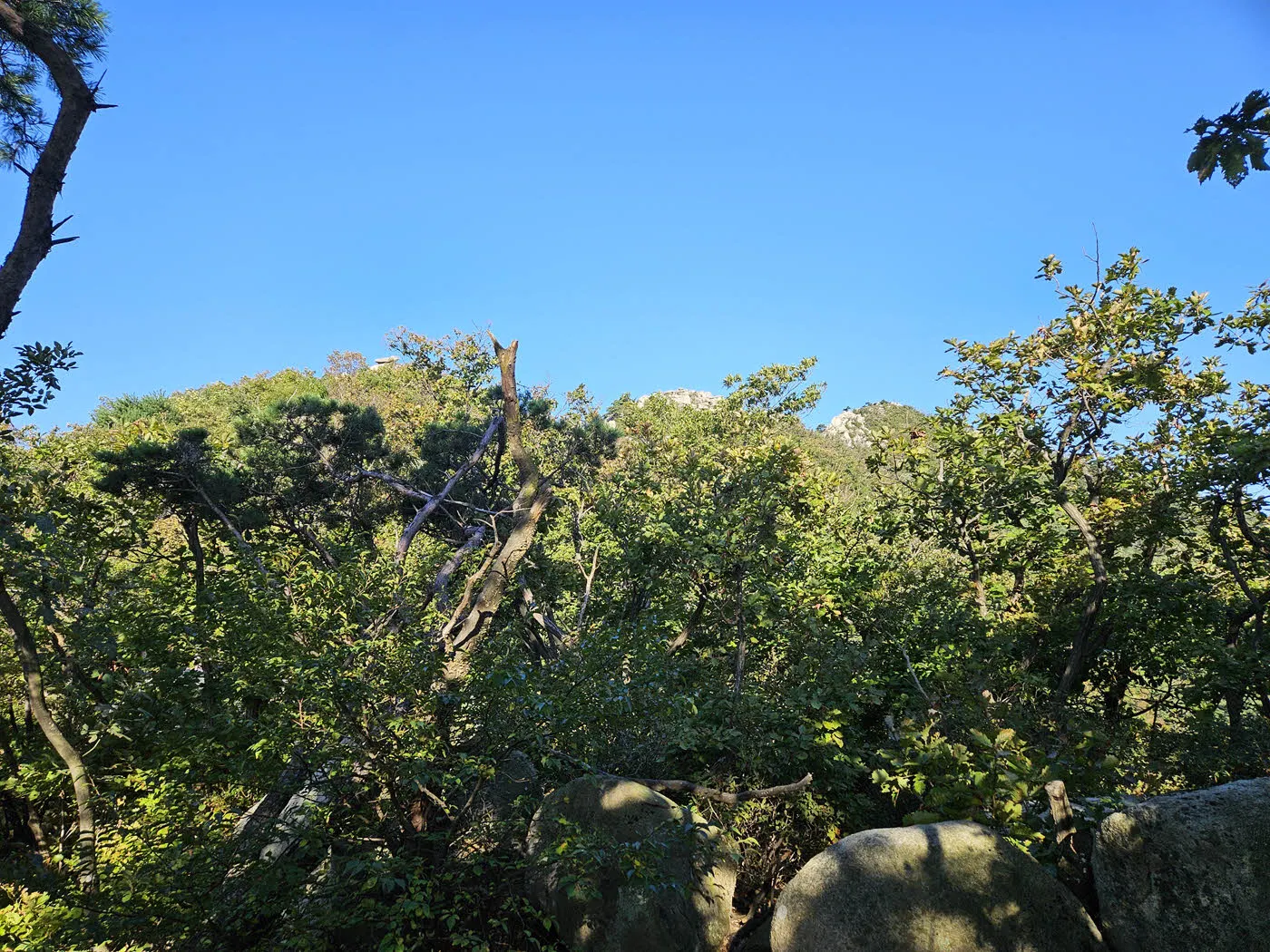 정수산 방면에서 오를 때 보이는 마니산의 암봉들