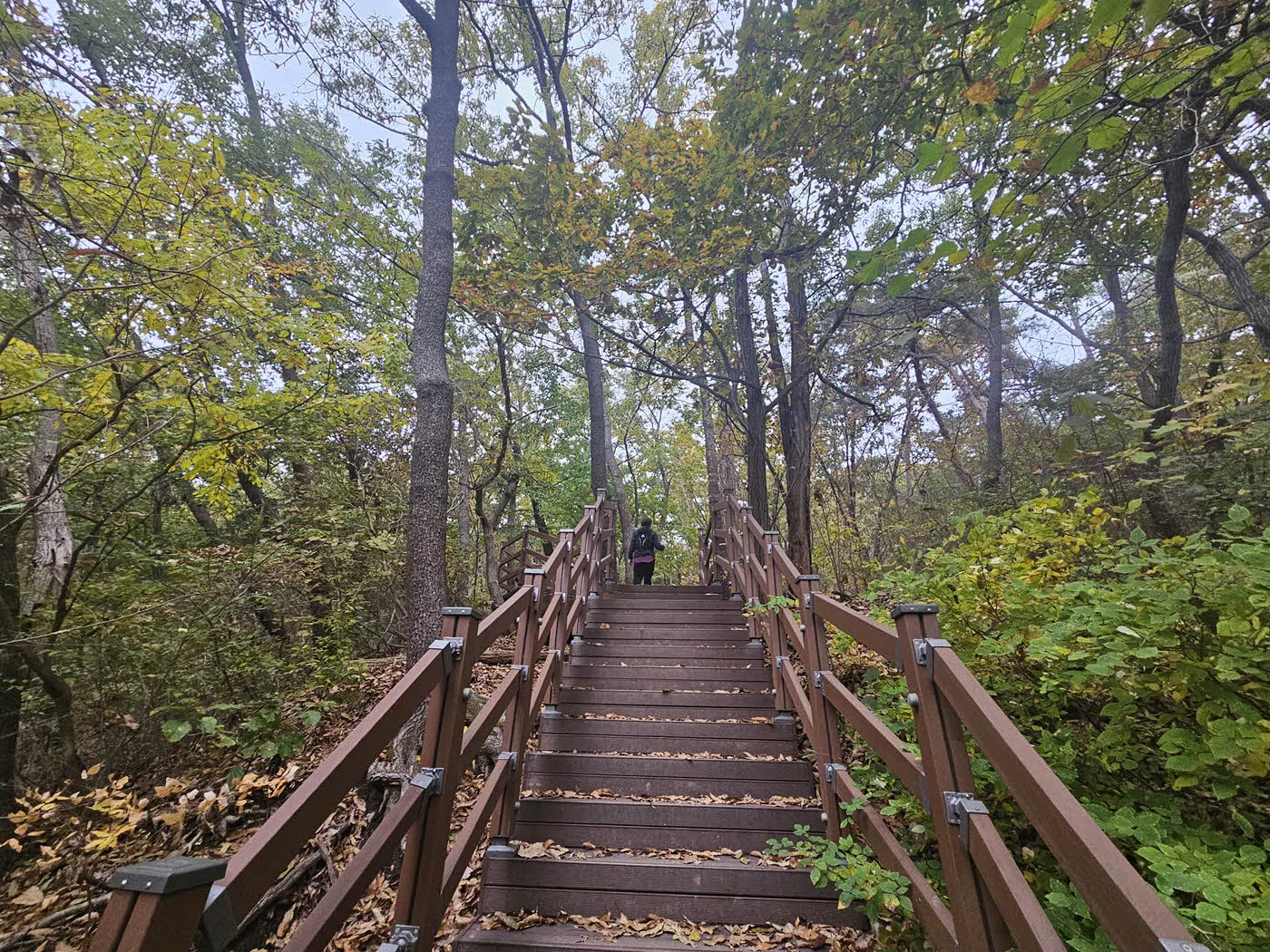 삼성산을 오를 수 있는 관악수목원 우회로