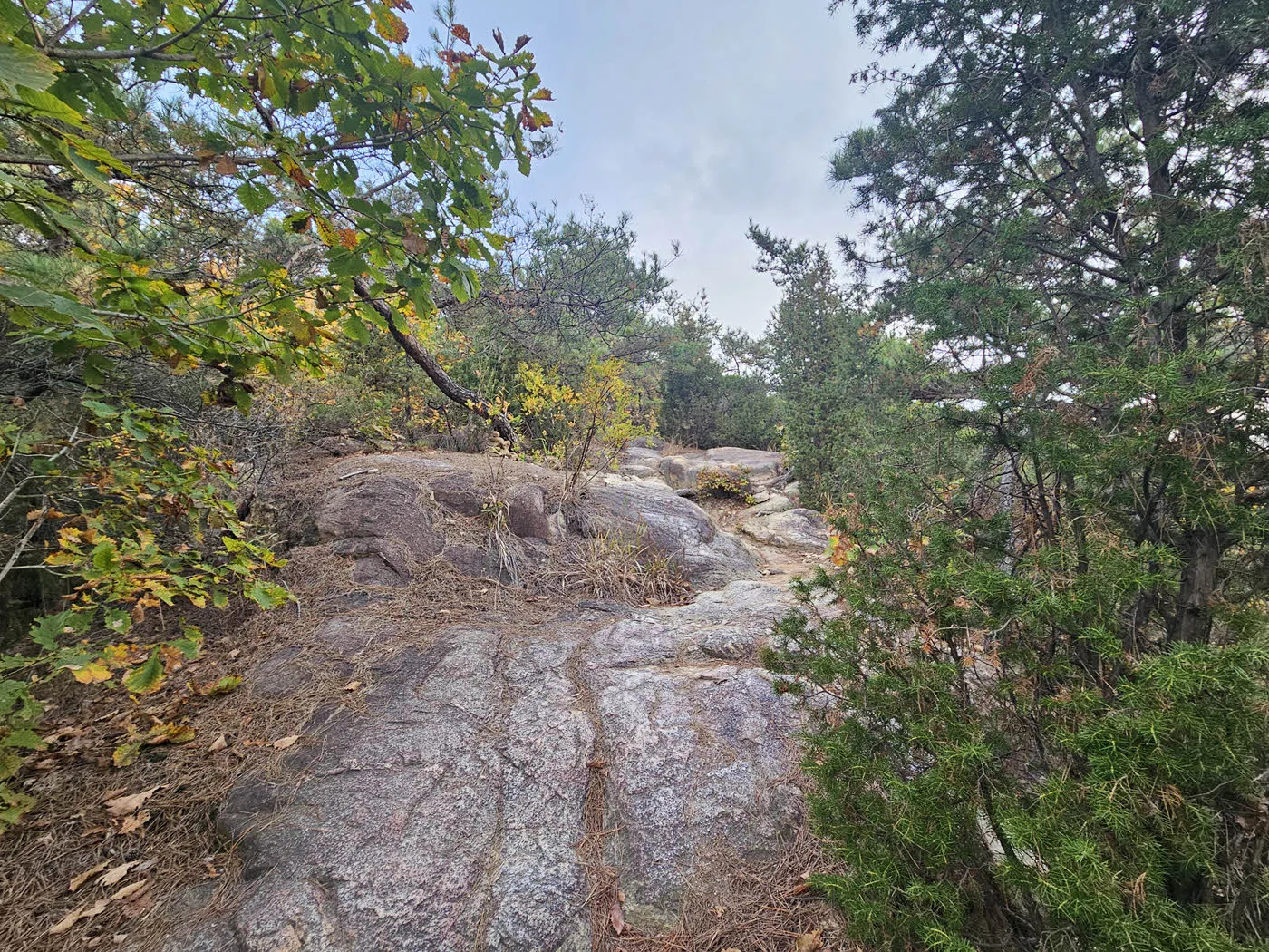 천인암 능선 오르기