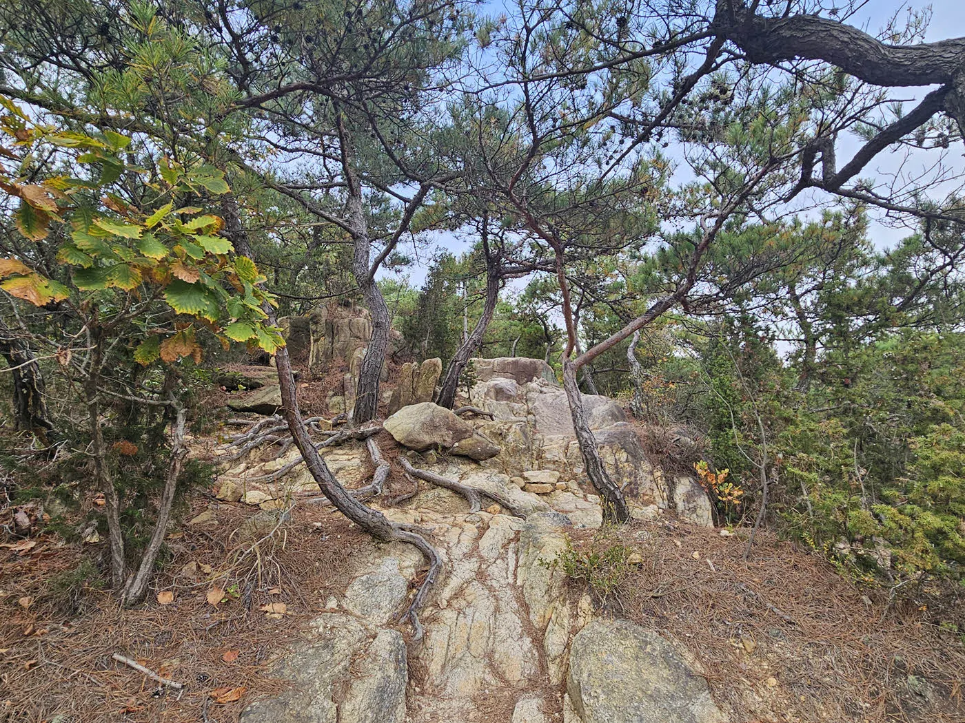 제법 험한 관악수목원 우회로