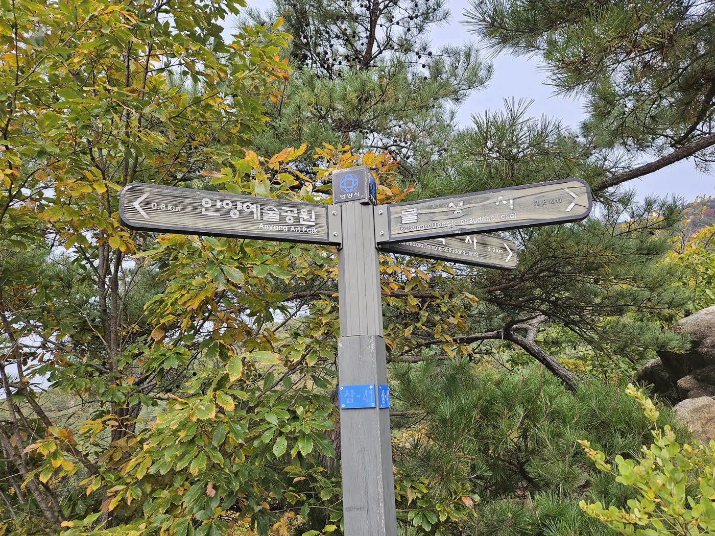 삼막사와 관악수목원 후문의 갈림길  (관악수목원 우회로)