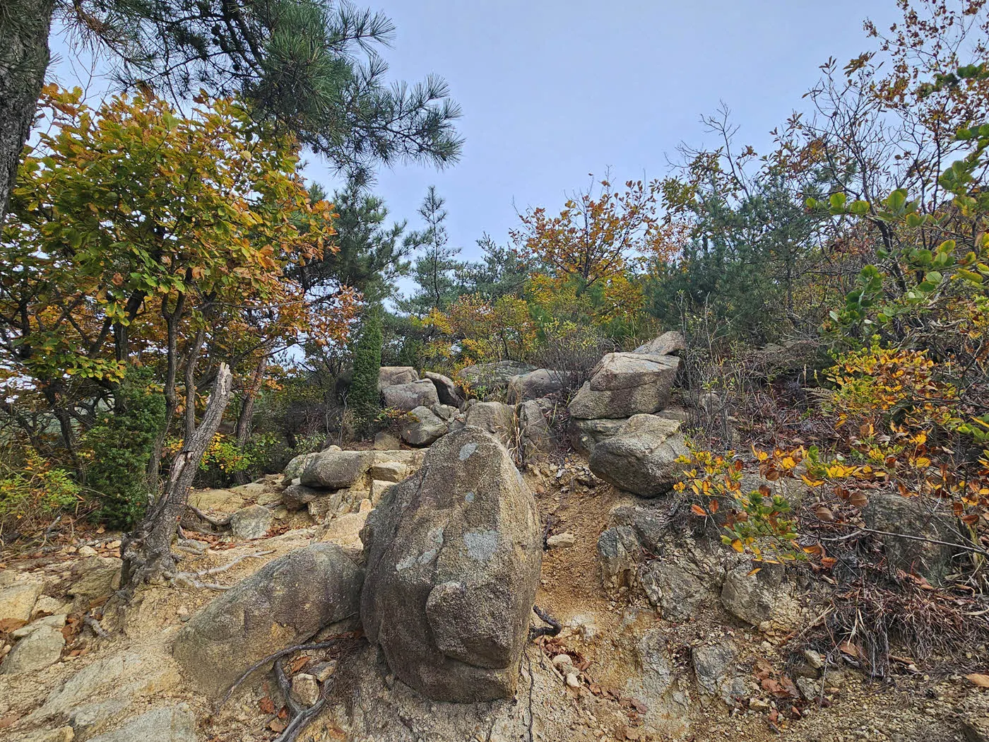 천인암 능선을 오르는 길 