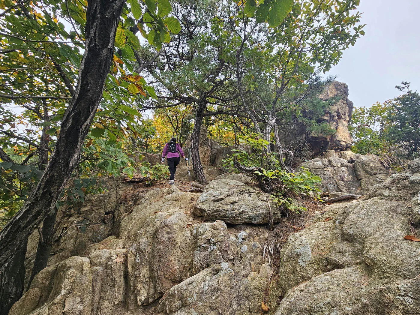 천인암 능선을 오르는 구간