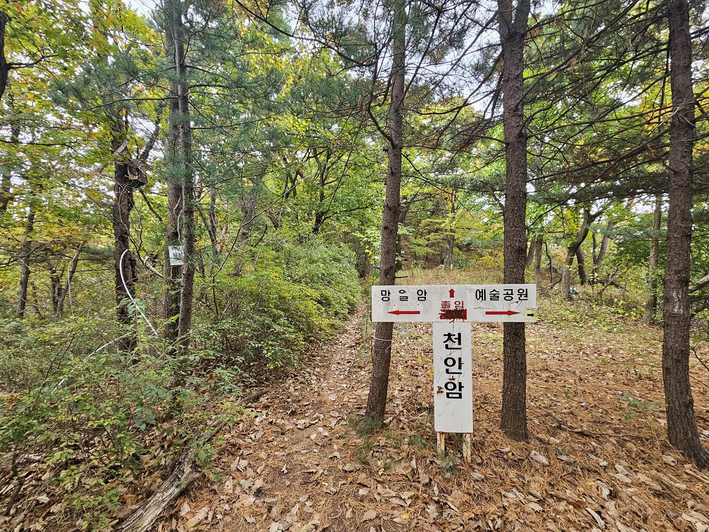 천인암 능선 진입을 막는 안내판
