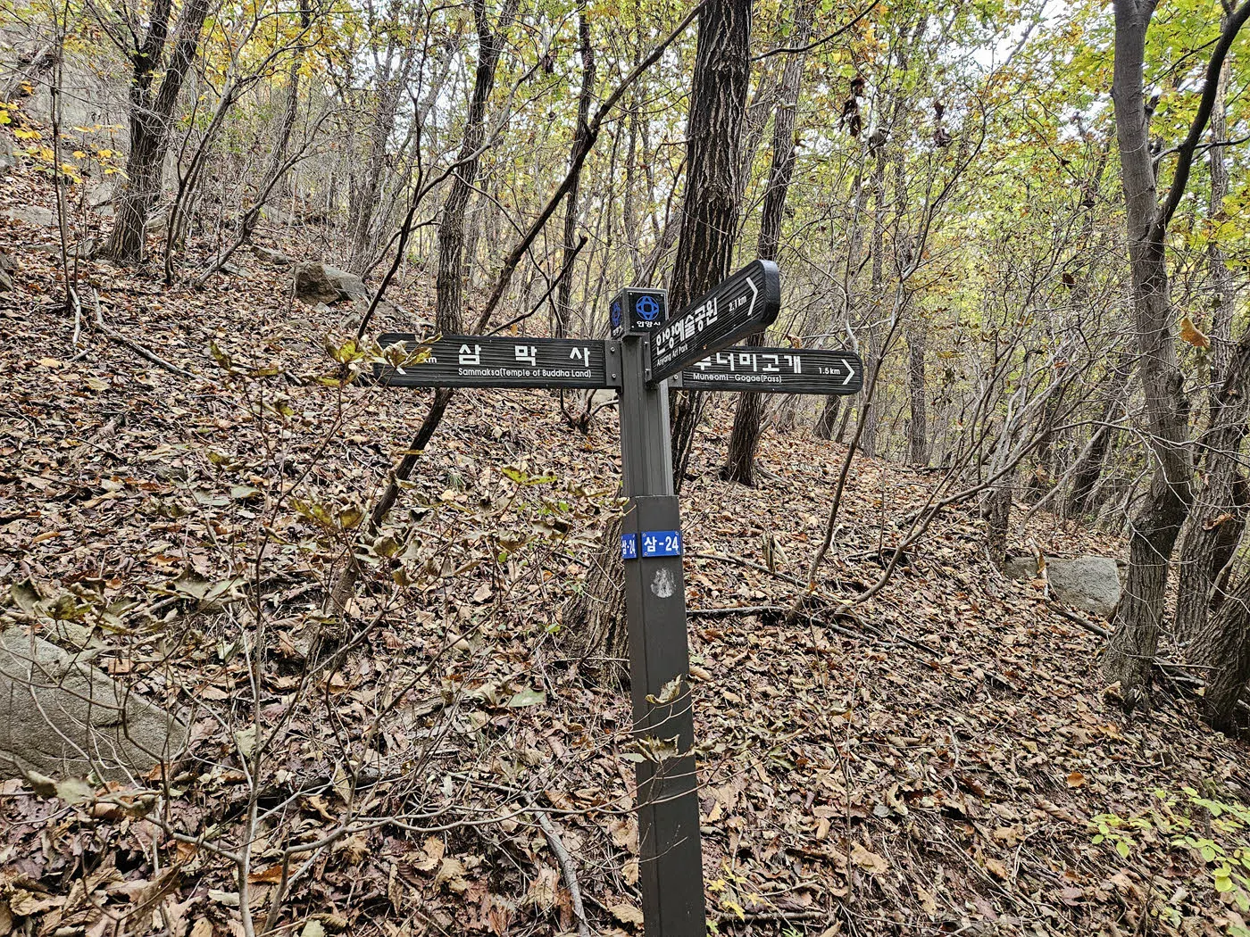 천인암 능선의 끝 삼거리