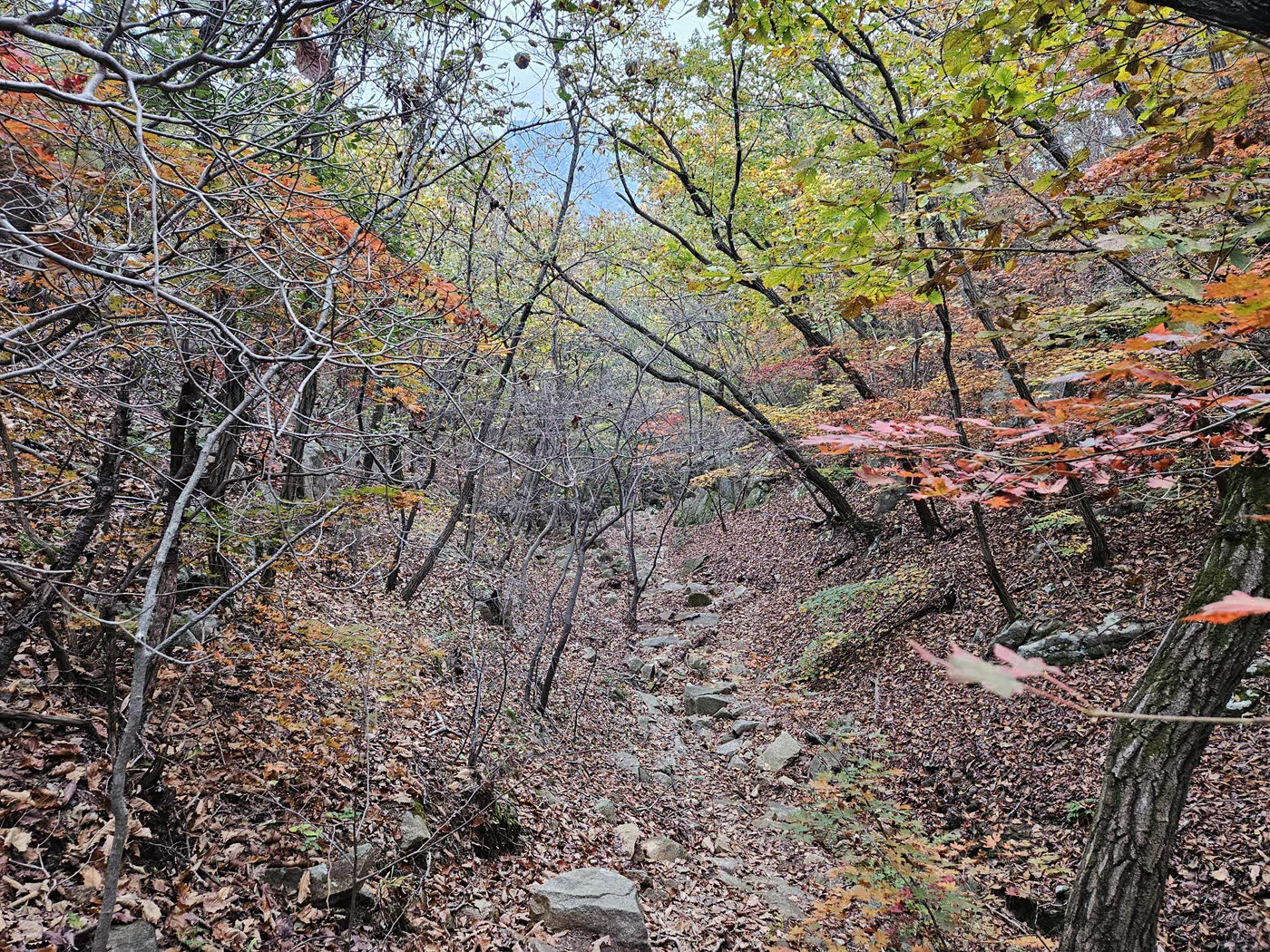 천인암에서 망월사암 갈림길로 하산하는 길