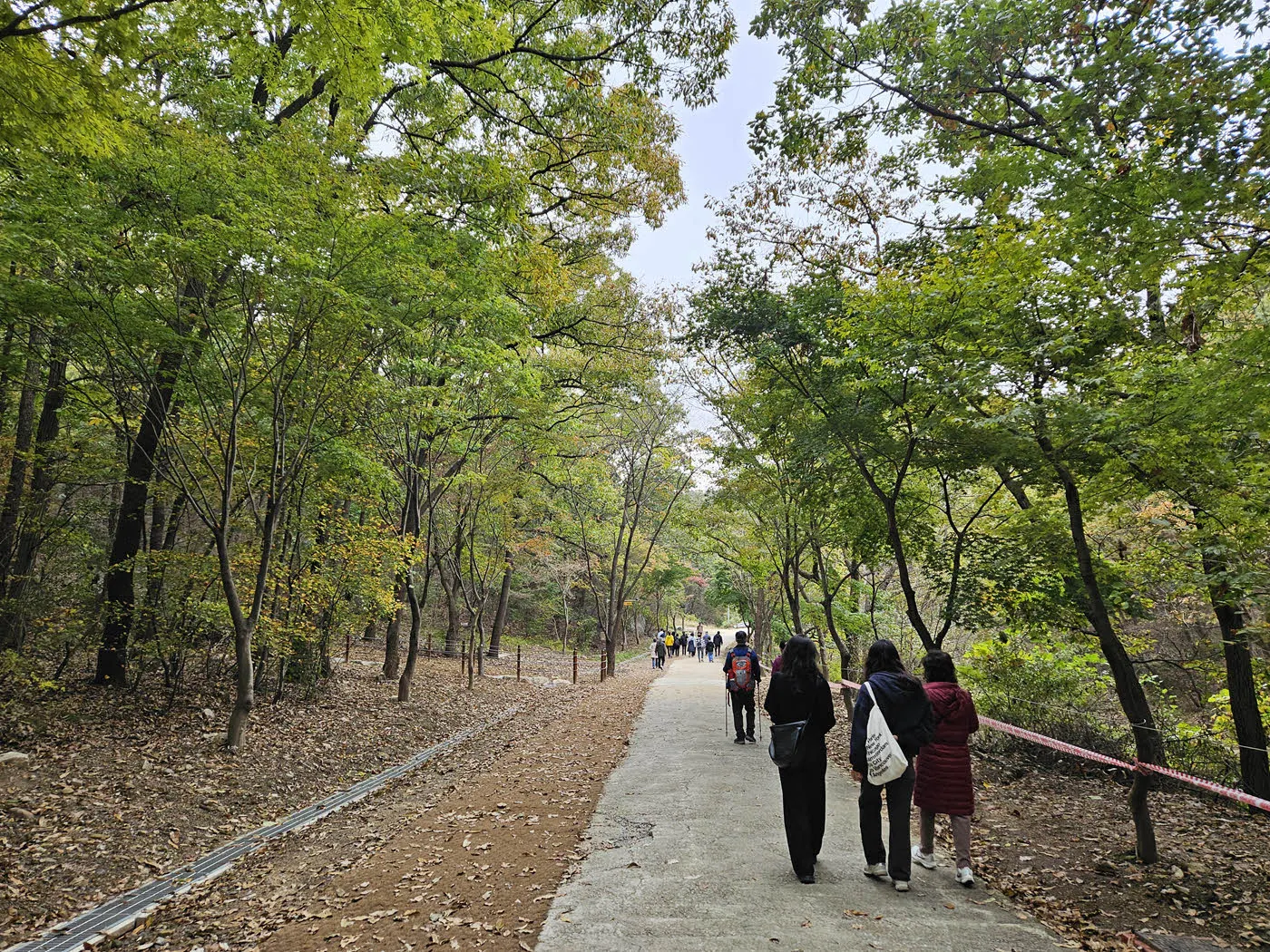 10월27일 임에도 푸르름이 가득한 관악수목원