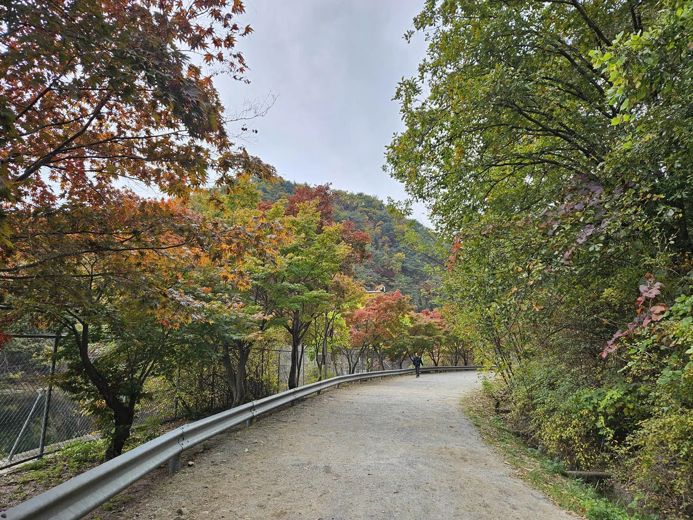 단풍이 아직은 덜 물든 관악수목원